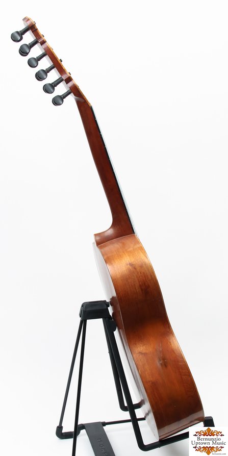 Portuguese Viola da Terra #4