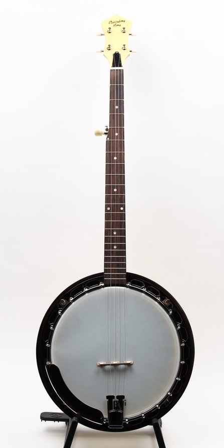 Recording King Starlight Resonator Banjo RKS-06 (Sunbeam) #1