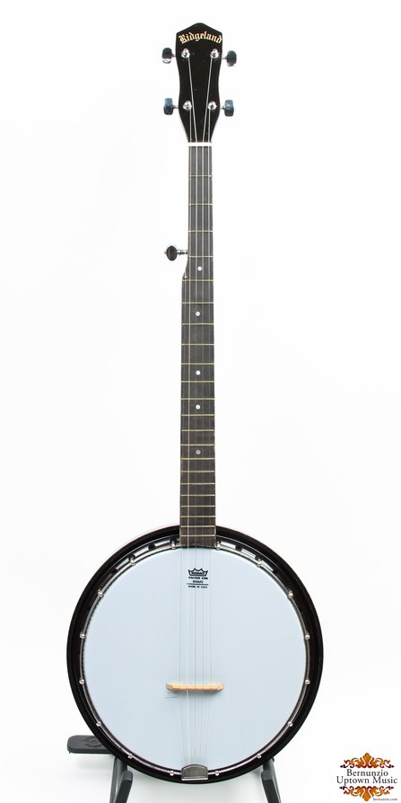 Ridgeland 5-string banjo #1