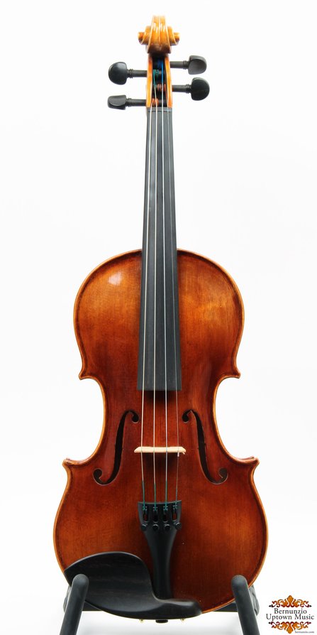 Samuel Shen SV-100 4/4 Violin Package #1