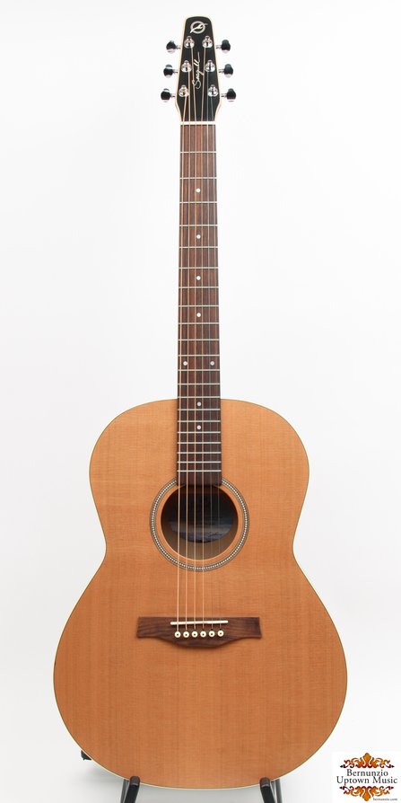 Seagull Coastline S6 Folk Cedar #1