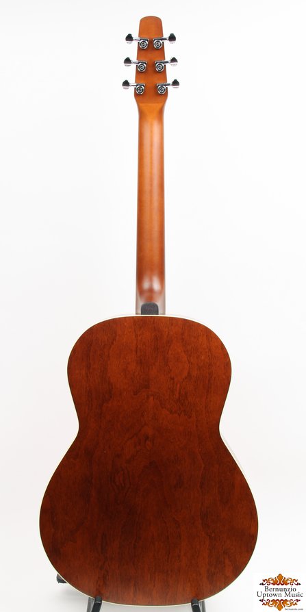 Seagull Coastline S6 Folk Cedar #2