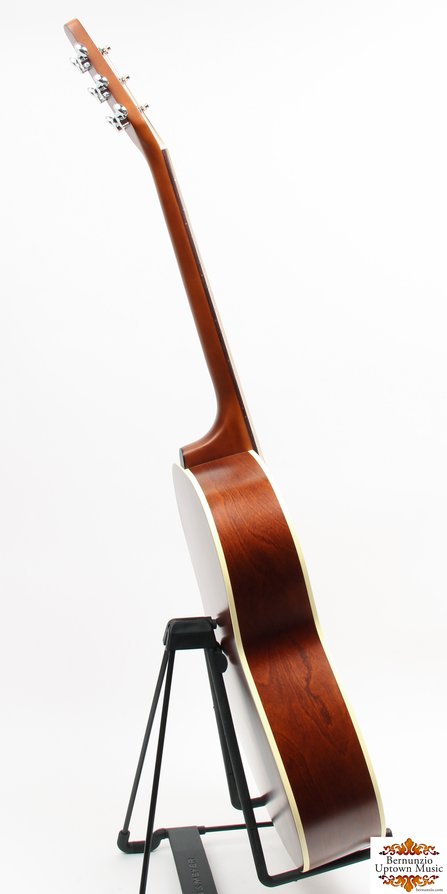 Seagull Coastline S6 Folk Cedar #3