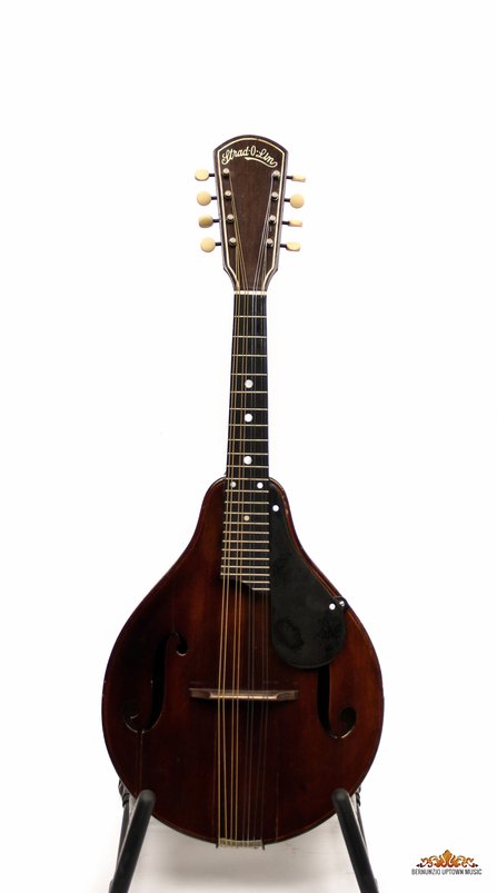 Stradolin Mandolin #1