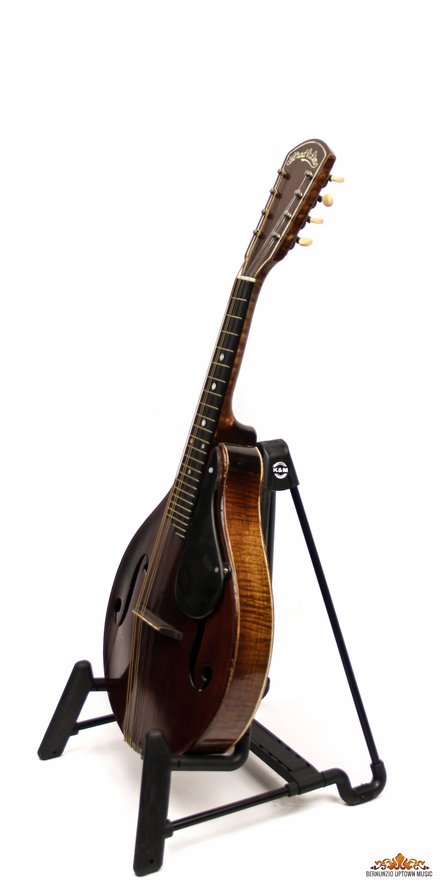 Stradolin Mandolin #3