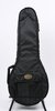 Superior Mandolin Gig Bag (A & F Styles) (SKU: QA3760) QA3760