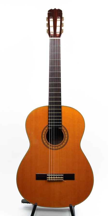 Takamine C-1328 #1