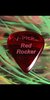 V-Pick Red Rocker (SKU: VPREDR) VPREDR