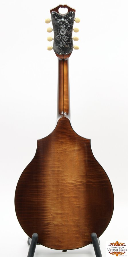 Vega Cylinder Back #2