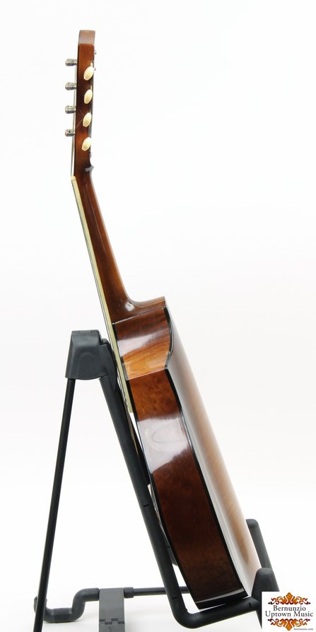 Vega Cylinder Back #3