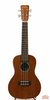 Cordoba 20CM Concert Ukulele (SKU: 16704) 16704