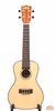 Kala KA-SCG Concert Gloss Spruce Top Ukulele (SKU: 20544) 20544