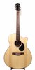 Eastman PCH1-GACE (SKU: 23290) 23290