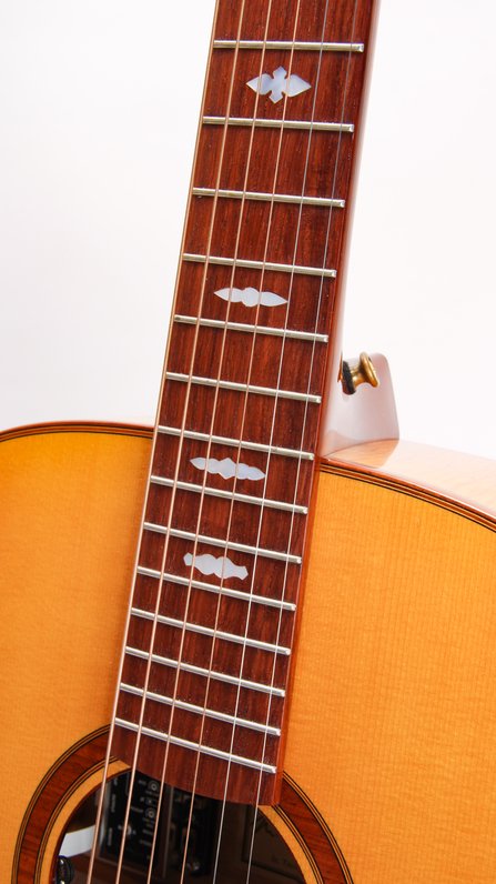 Beneteau Guitars Custom OM #5