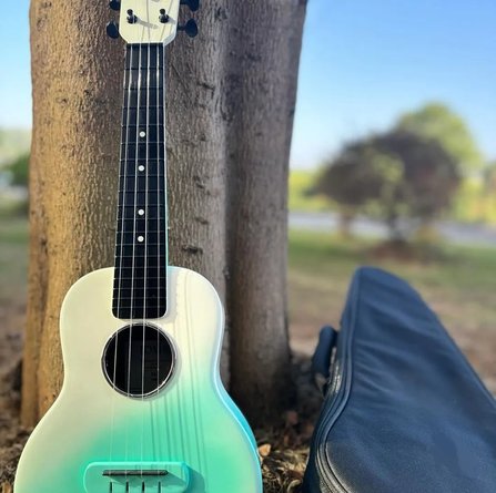 Bushman "Lalo" Concert Carbon Fiber Seafoam Green #1