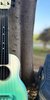 Bushman "Lalo" Concert Carbon Fiber Seafoam Green (SKU: 30577) 30577