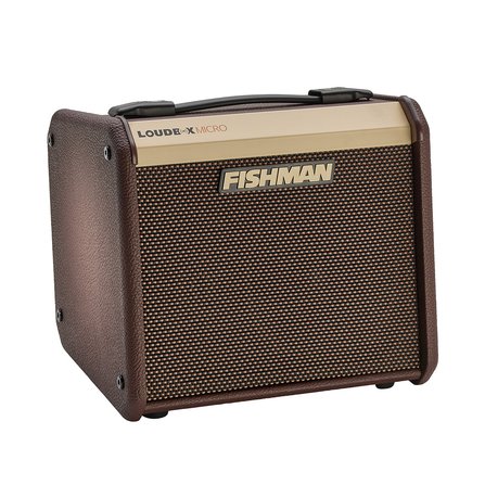 Fishman Loudbox Micro 40W, 2-channel #2