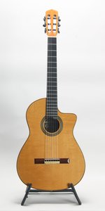 Cordoba Orchestra Pro CE SP/RW (2011)