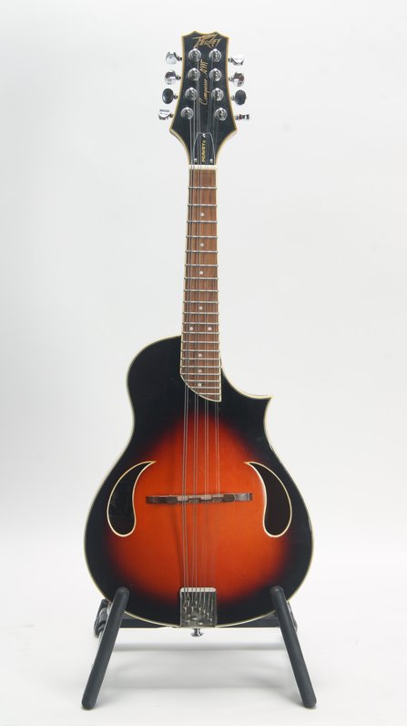 Peavey Composer AM Mandolin #1