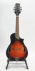 Peavey Composer AM Mandolin (SKU: 32084) 32084