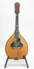 Unmarked (Vega) Double Top Flat Back Mandolin (SKU: 31304) 31304
