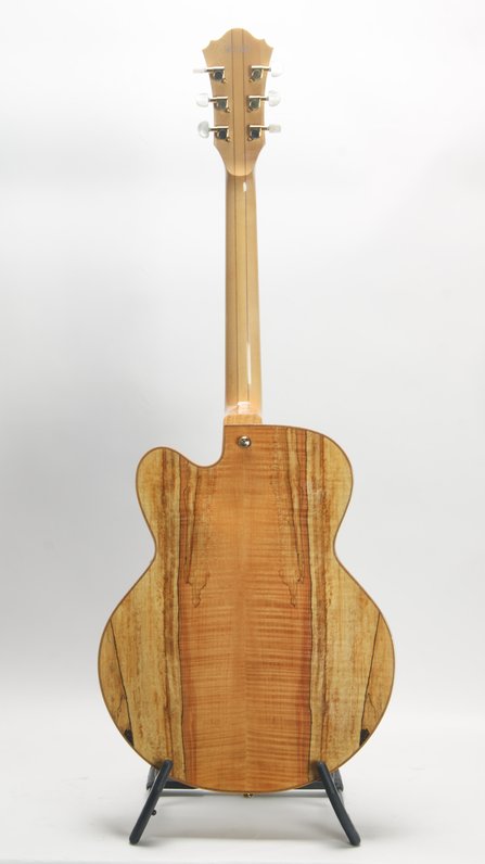 Ibanez AF105SM-EE (2009) #2