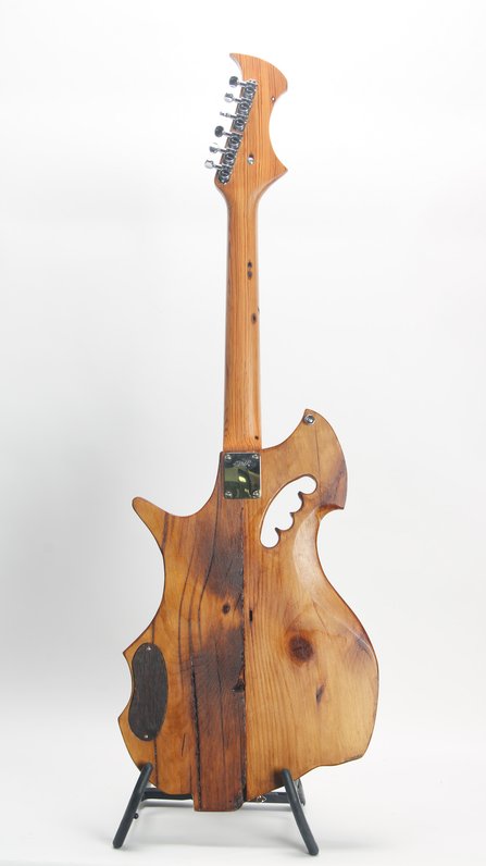 RC Kelly Turtle Electric Guitar (Art) #2