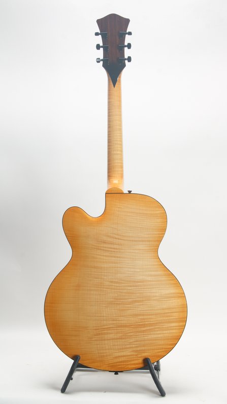 Steve Andersen Oval Hole Archtop w. Calton case (2001) #2