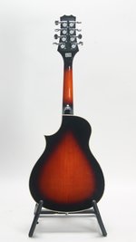 Peavey Composer AM Mandolin (SKU: 32084) 32084
