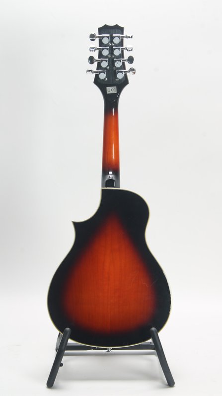 Peavey Composer AM Mandolin #2