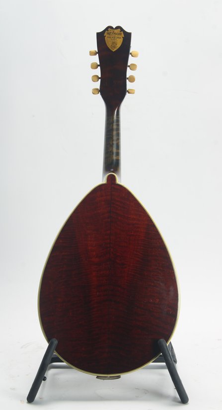Weymann Style 75 Mandolute #2