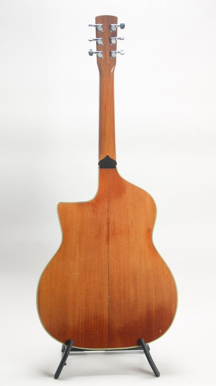 Lehmann Roundneck Cutaway Resonator #2