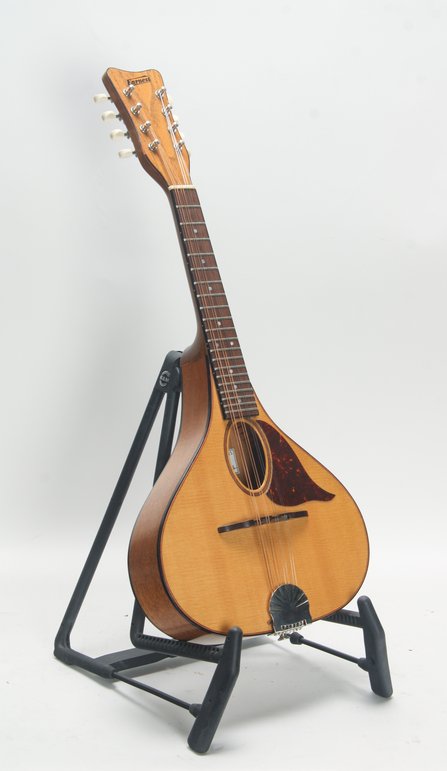 Earnest Custom Mandolin #3