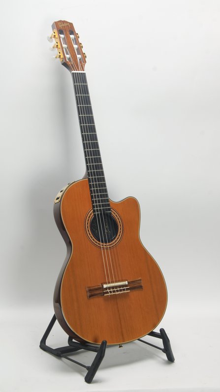 Gibson Chet Atkins Classic CE (2001) #3