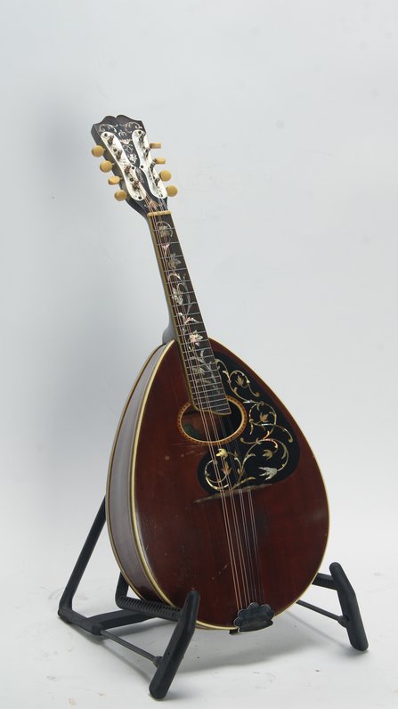 Weymann Style 75 Mandolute #3