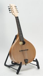 Red Valley Mandolins AMW Mandolin (SKU: 31125) 31125