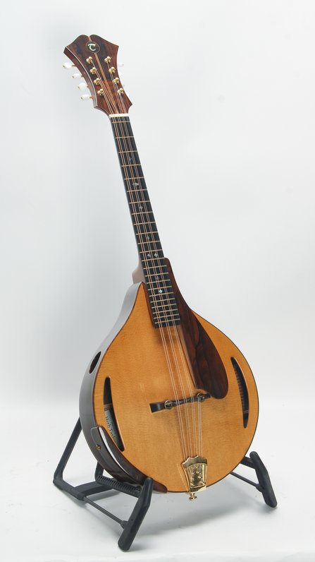 Herb Taylor Octave Mandolin (2017) #3