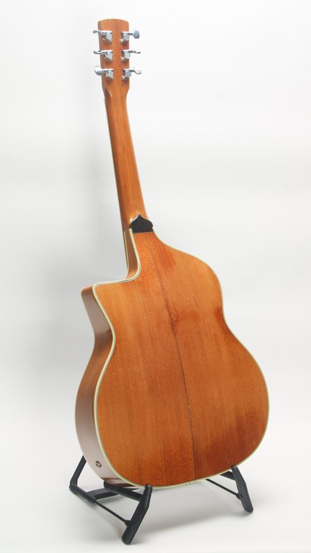 Lehmann Roundneck Cutaway Resonator #4