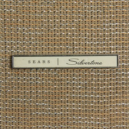 Silvertone 1485 Head + 6x10 Cabinet #4