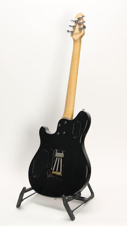 Peavey EVH Wolfgang Special #4