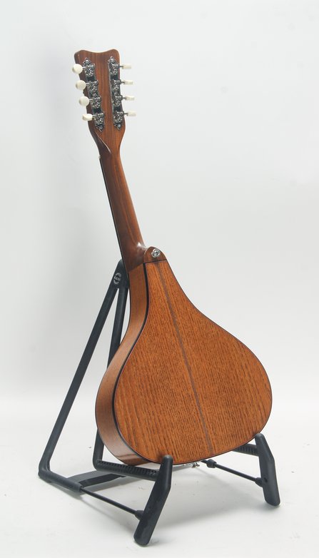Earnest Custom Mandolin #4