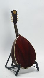Weymann Style 75 Mandolute (ca. 1910) (SKU: 31862) 31862