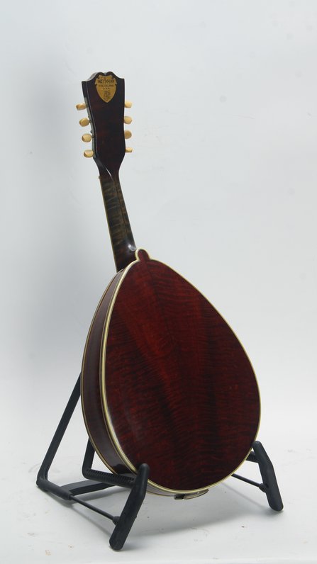 Weymann Style 75 Mandolute #4