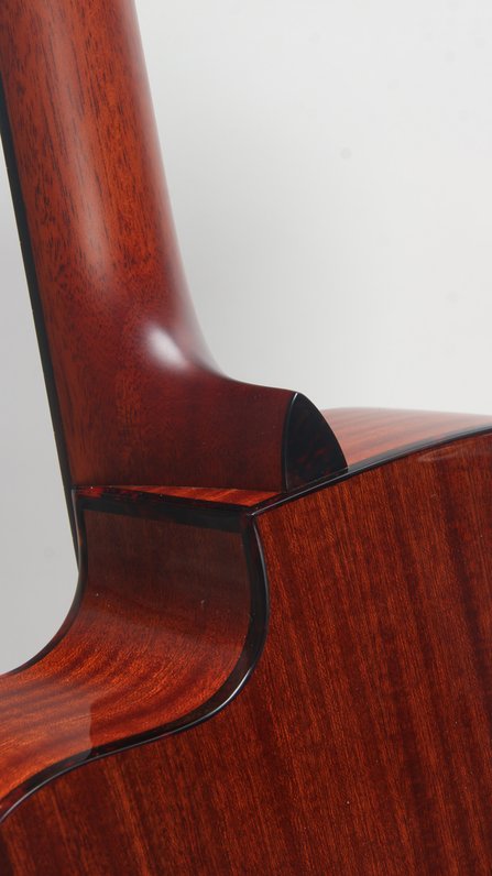 Eastman E1OMCE-DLX #5