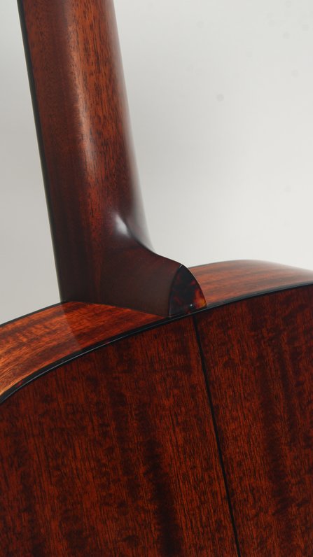 Eastman E10OM-TC #5