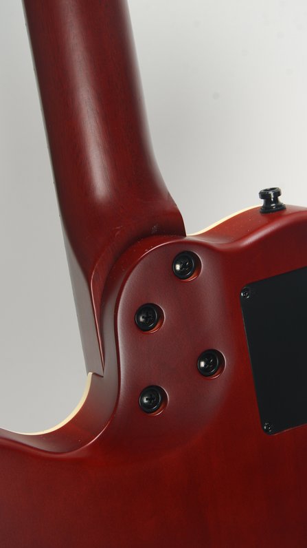 Godin Multiac Nylon Encore #5