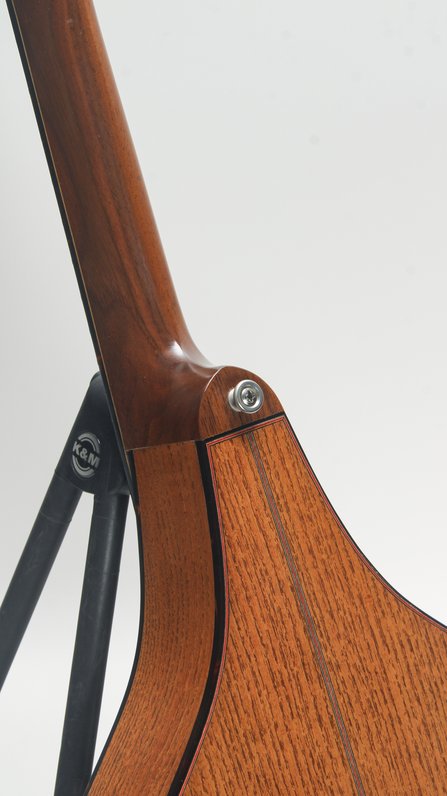 Earnest Custom Mandolin #5