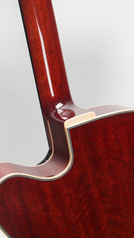 Eastman John Pisano AR680CE #5