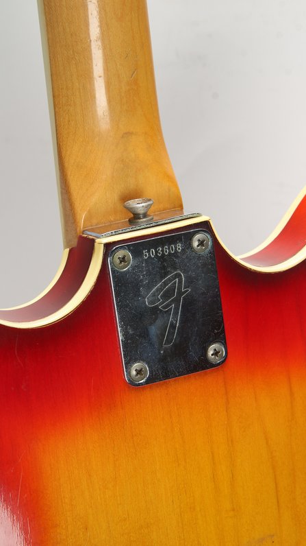 Fender Coronado II (1967) #5