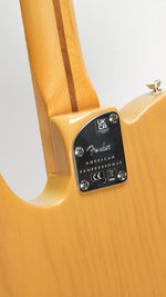 Fender American Professional II Telecaster (SKU: 31447) 31447